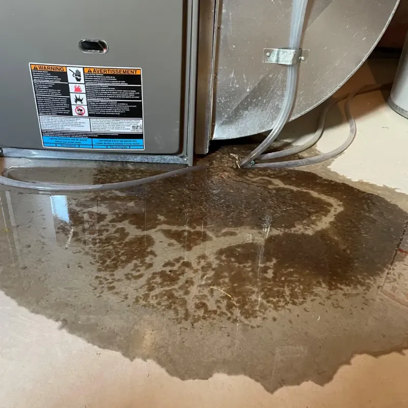 Appliance Leak Cleanup in Lumberton, NC